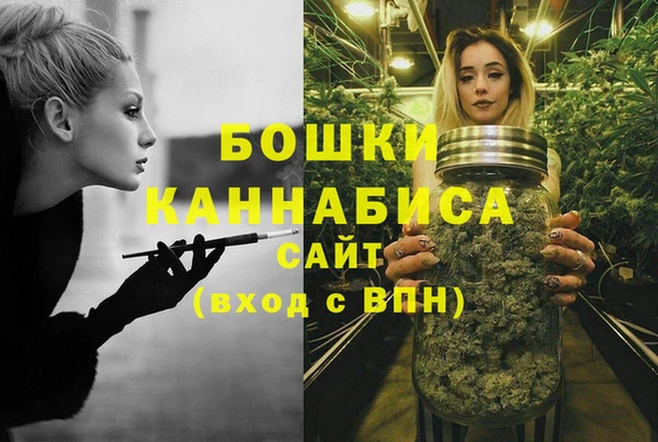 гидра Майский