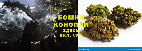 гидра Майский