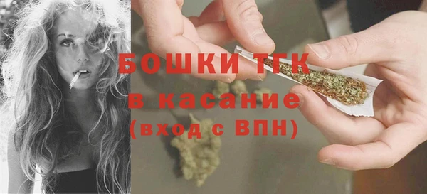 гидра Майский