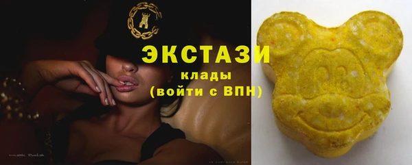 гидра Майский