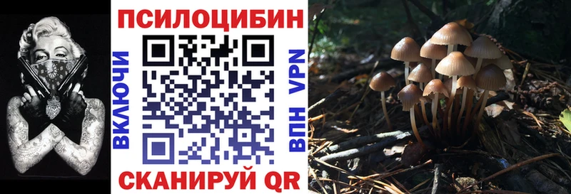 наркота Подпорожье hydra Галлюциногенные грибы мицелий
